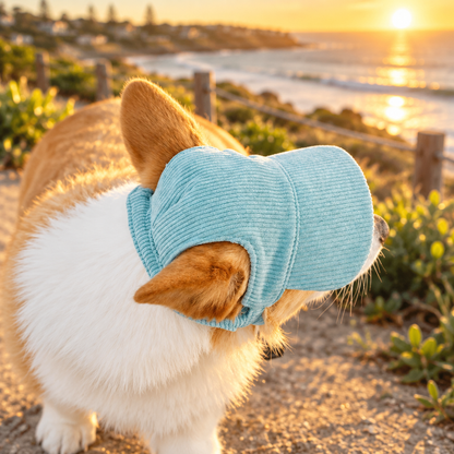 Corgi Coastal